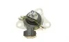 Подушка двигуна (R) Renault Megane I/Scenic I 1.9dTi/dCi 97-03 CORTECO 80001199 (фото 3)