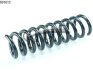 Пружина підвіски задня CS Germany 14601013 (фото 1)