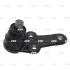 Опора шаровая нижняя Ford Focus 99-04 OLD CBF-23 (выр-во) CTR CB0032 (фото 1)