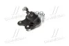 Опора кульова нижня L VW Polo 02- Polo 02-09 Fox Audi A2 00-05 Skoda Seat (вир-во) CTR CB0552L (фото 3)