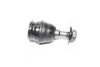 Опора шаровая нижняя Subaru Legacy 20- Outback 20- NEW CB0517 (выр-во) CTR CBSU-8 (фото 1)