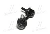 Стойка стаб задняя ось L Honda Civic 01-06 OLD CLHO-17 (выр-во) CTR CL0150 (фото 2)