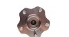 Подшипник ступицы (задней) Nissan Juke/Leaf/Qashqai/X-trail 1.6-2.0 dCi 07- CX CX862 (фото 4)