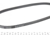 Ремень клиновидный (дл. 60-180) DAYCO 10A0760C (фото 2)