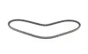 Ремінь генератора Nissan Terrano 2.4 93-07/BMW 3 (E30) 1.6/1.8 82-9/Audi 80 1.6/2.0 75-96 (10x905) DAYCO 10A0905C (фото 5)