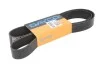 Ремень поликлиновый DAYCO 10PK1494HD (фото 2)