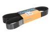 Доріжковий пас DAYCO 10PK1500HD (фото 2)
