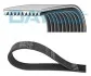 Доріжковий пас DAYCO 10PK1545HD (фото 1)