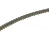 Ремень генератора Audi 80 1.3-1.8 78-87/BMW 3 (E30)/5 (E34) 2.0-2.5 87-95/VW Passat 1.6-1.8 80-88 DAYCO 13A0825C (фото 2)