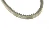 Ремень генератора Audi 80 1.3-1.8 78-87/BMW 3 (E30)/5 (E34) 2.0-2.5 87-95/VW Passat 1.6-1.8 80-88 DAYCO 13A0825C (фото 3)