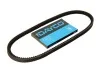 Клиновий пас DAYCO 13A1253C (фото 3)