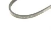 Ремінь генератора Citroen C3/C4/Peugeot 208/308 1.2 THP 13- DAYCO 3PK576EE (фото 4)