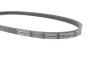 Ремень генератора Volvo S60/S80/V60/V70/XC60/XC70 06- DAYCO 3PK628EE (фото 3)