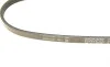 Ремень генератора Toyota Avensis/Carina/Celica/Corolla 1.6 -01 DAYCO 3PK630 (фото 4)