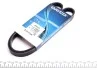 Ремень генератора Honda Civic VII 1.7 i 01-05 DAYCO 4PK1013 (фото 1)