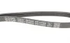 Ремінь генератора Citroen Jumper/Fiat Ducato 3.0HDi/D 06- DAYCO 4PK1102EE (фото 2)