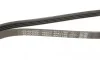 Ремень генератора Renault Rapid 1.4i 91-98 DAYCO 4PK1185 (фото 5)