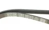Ремінь генератора Audi A4/A6 2.5TDI 00-05/ Peugeot J5 1.9-2.5 TD 90-94 DAYCO 4PK1215 (фото 4)