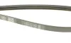 Ремінь генератора Renault Clio/Kangoo 1.4i/1.6 98-03 DAYCO 4PK1238 (фото 3)