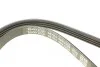 Ремінь генератора Renault Clio/Kangoo 1.4i/1.6 98-03 DAYCO 4PK1238 (фото 4)