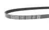 Ремень генератора Fiat Strada 1.2 99-06 DAYCO 4PK690 (фото 3)
