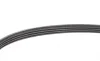Ремень генератора Ford Transit 2.0 TDCI 00-06 DAYCO 4PK736 (фото 3)