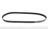 Ремінь генератора Honda Accord/Toyota Corolla 1.3/1.6 92-02 DAYCO 4PK820 (фото 3)
