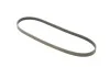 Ремінь генератора Hyundai Accent 94-05 DAYCO 4PK900 (фото 2)