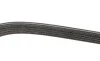 Ремень генератора Suzuki Baleno 1.8 96-02 DAYCO 5DPK1550 (фото 2)
