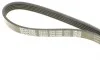 Ремінь генератора Toyota Camry/ Celica/ Rav4 1.8-2.0 83-00 DAYCO 5PK1000 (фото 4)