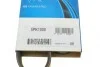 Ремінь генератора Toyota Camry/ Celica/ Rav4 1.8-2.0 83-00 DAYCO 5PK1000 (фото 6)