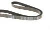 Ремень генератора Mazda 323/626 1.6-2.2i 82-97 DAYCO 5PK1010HD (фото 3)