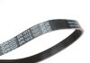 Ремінь 5PK1013 посилений ALFA ROMEO, DAEWOO,FIAT,FORD,MAZDA,OPEL,PEUGEOT,TOYOTA DAYCO 5PK1013HD (фото 2)
