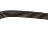 Ремінь генератора Mazda 626 1.8i 92-97 DAYCO 5PK1025 (фото 3)