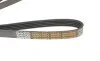 Ремень генератора Mazda 626 1.8i 92-97 DAYCO 5PK1025HD (фото 3)