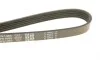 Ремінь генератора Mitsubishi Lancer/Toyota Corolla 1.3 -97 DAYCO 5PK1065 (фото 4)