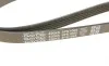 Ремінь генератора Mitsubishi Lancer/Toyota Corolla 1.3 -97 DAYCO 5PK1065 (фото 5)