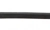Ремень генератора VW Passat B5/Audi A4/A6 1.6/1.8 95- DAYCO 5PK1300 (фото 4)