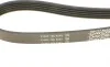 Ремень генератора Rover 800 2.5 90-99 DAYCO 5PK1500 (фото 3)