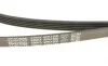 Ремень генератора Rover 800 2.5 90-99 DAYCO 5PK1500 (фото 4)