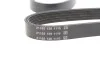 Ремень генератора MB A-class (W169) 04-12 DAYCO 5PK1765S (фото 2)
