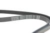 Ремень генератора Hyundai Tucson 15-/i20/i30/i40/Accent/Kia Ceed/Rio 05-/Sportage 10- (5PK1810) DAYCO 5PK1810S (фото 4)