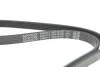 Ремень генератора Hyundai Tucson 15-/i20/i30/i40/Accent/Kia Ceed/Rio 05-/Sportage 10- (5PK1810) DAYCO 5PK1810S (фото 4)
