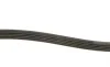 Ремінь генератора BMW 5 (E39)/7 (E38) 2.5TD/Kia Cerato 1.5-1.6CRDI 05- DAYCO 5PK1850 (фото 3)