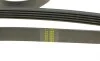 Ремень генератора BMW 3 (E46)/5 (E39)/X5 3.0D 98- DAYCO 5PK2060 (фото 4)