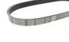 Ремень генератора Ford Mondeo I/II 1.8TD 93-00 DAYCO 5PK575 (фото 3)