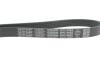 Ремень генератора Fiat Punto/Fiorino 1.4 08- (5PK748) DAYCO 5PK748EE (фото 4)