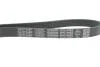 Ремінь генератора Fiat Punto/Fiorino 1.4 08- (5PK748) DAYCO 5PK748EE (фото 4)