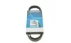 Ремінь генератора BMW 3/5 90-00 / Ford Focus 2.5 05-12 DAYCO 5PK890 (фото 1)
