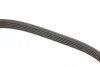 Ремень генератора Opel Astra/Vectra 1.4/1.6i 88-95 DAYCO 5PK990 (фото 3)